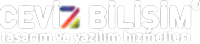 Web tasarım, Web yazılım